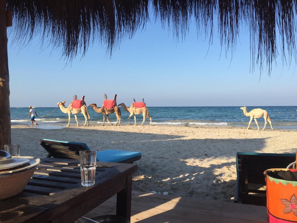 Hotel Djerba Orient Mezraia Ngoại thất bức ảnh